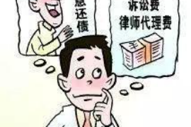柳城专业讨债公司有哪些核心服务？