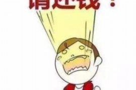 柳城专业讨债公司，追讨消失的老赖